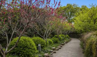 无锡蠡湖中央公园