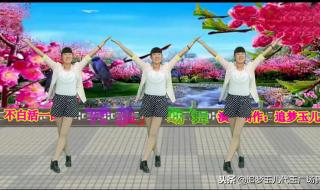 不白活一回毛阿敏