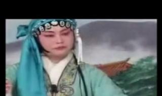 王天宝下苏州全集