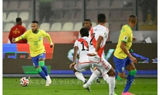 1990年世界杯巴西队阵容 1990年世界杯巴西队阵容